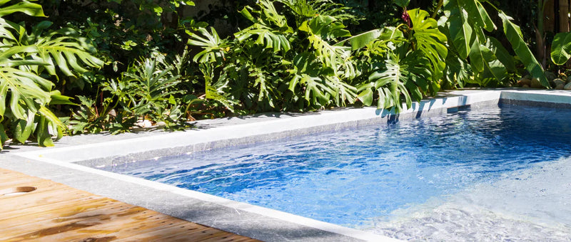 Ultimate Guide to Swimming Pool Ownership: Installation Costs, Annual Maintenance, and Lifestyle Value