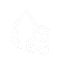 Salt (NaCl)